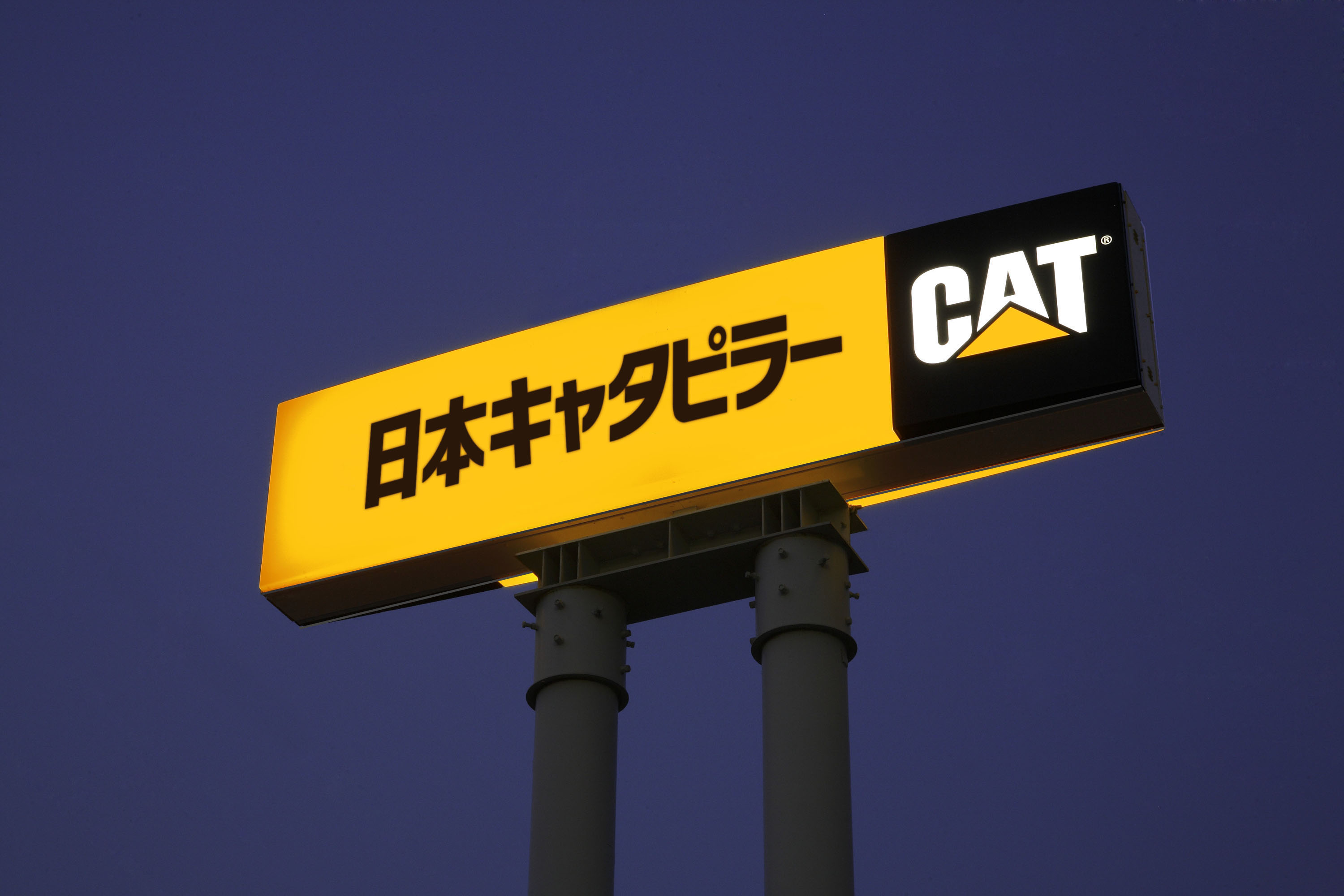 cat_1.jpg