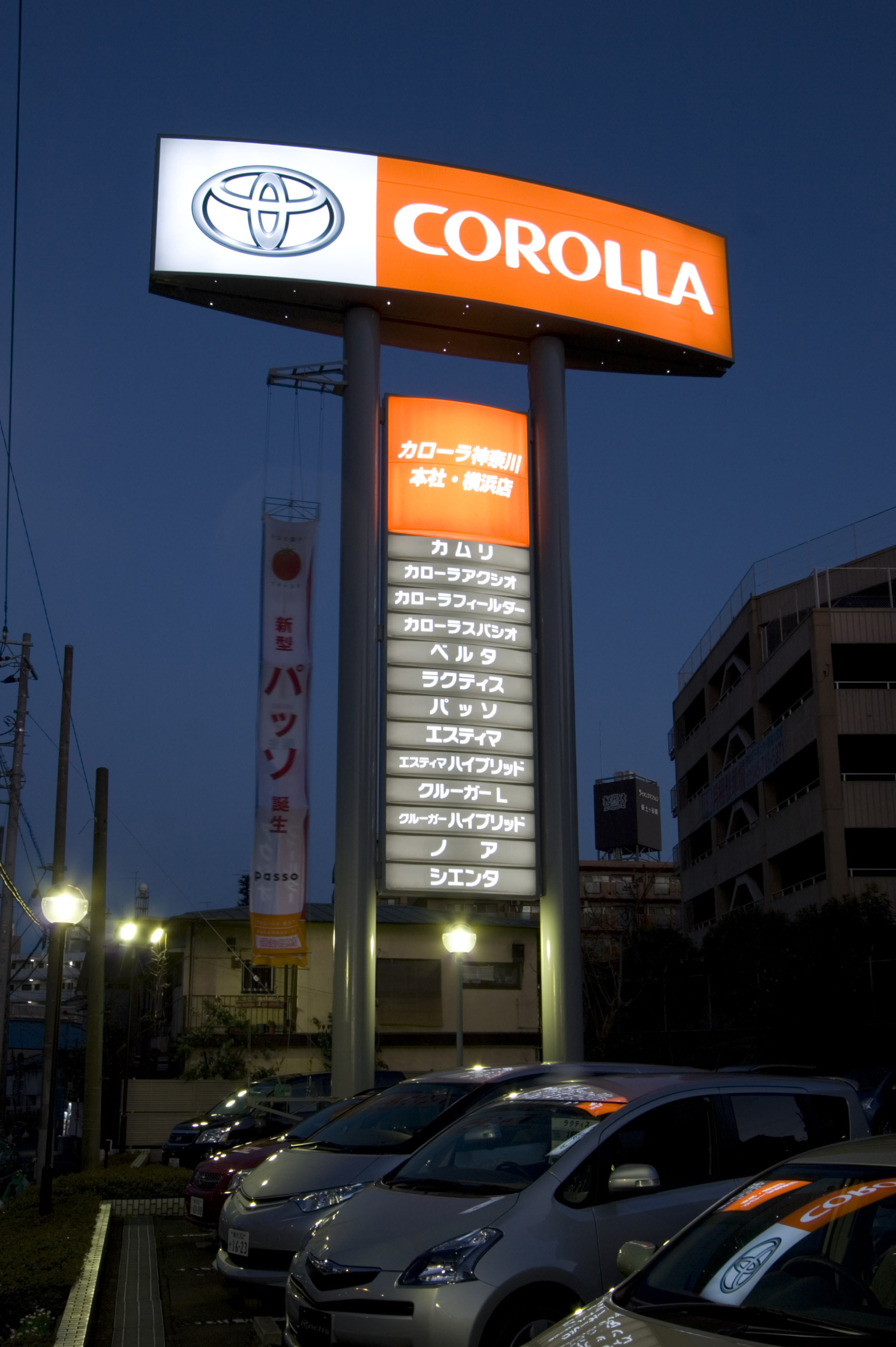 corolla_4.jpg